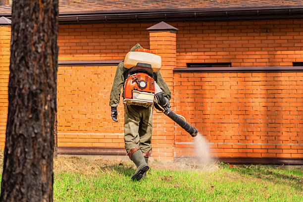 Trusted Emergency Pest Control service in Jasonville, IN - Nex Pest Control